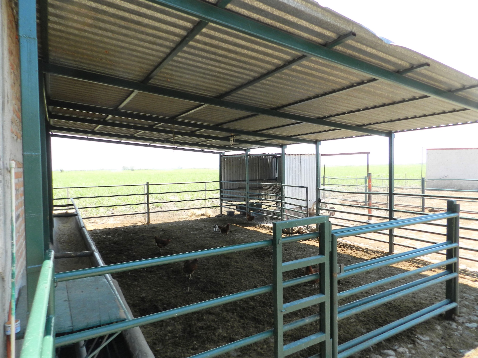 Corral techado