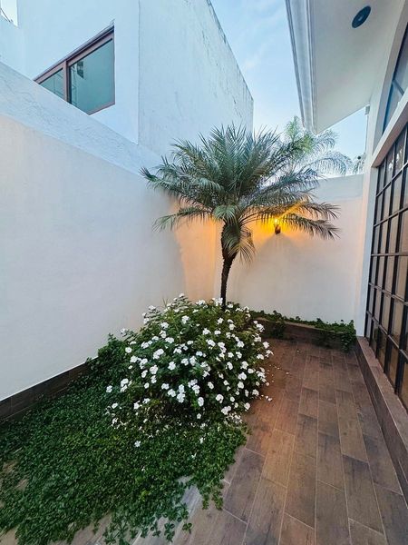 Patio interior con palmera