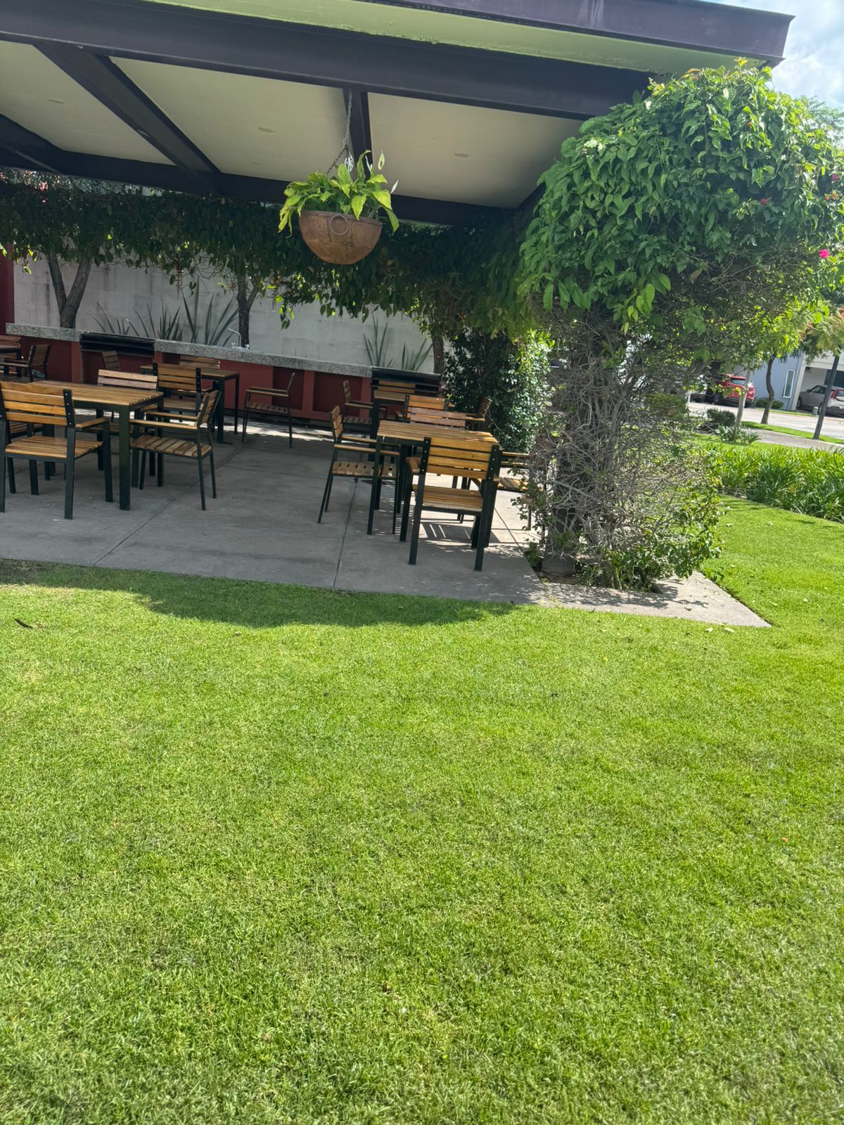 Terraza con mobiliario
