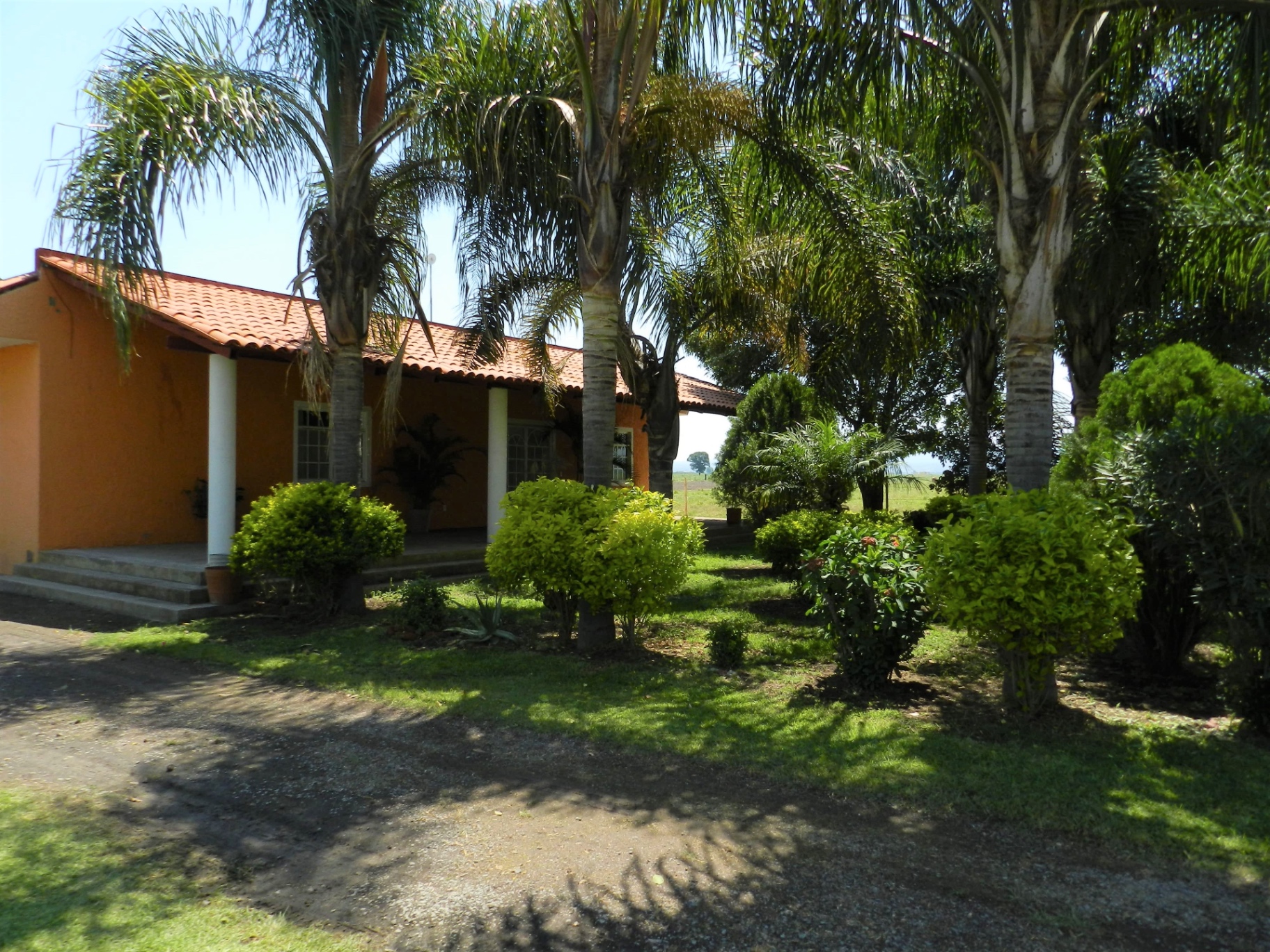 Rancho Ganadero Las 2 Moras — Cuisillos · San Juan de los Arcos