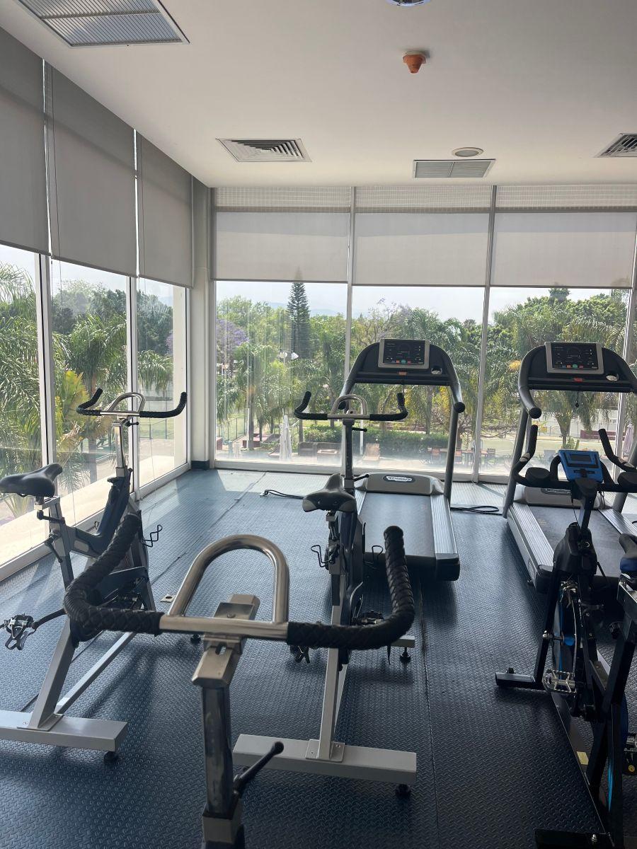 Gimnasio equipado con vista al jardín